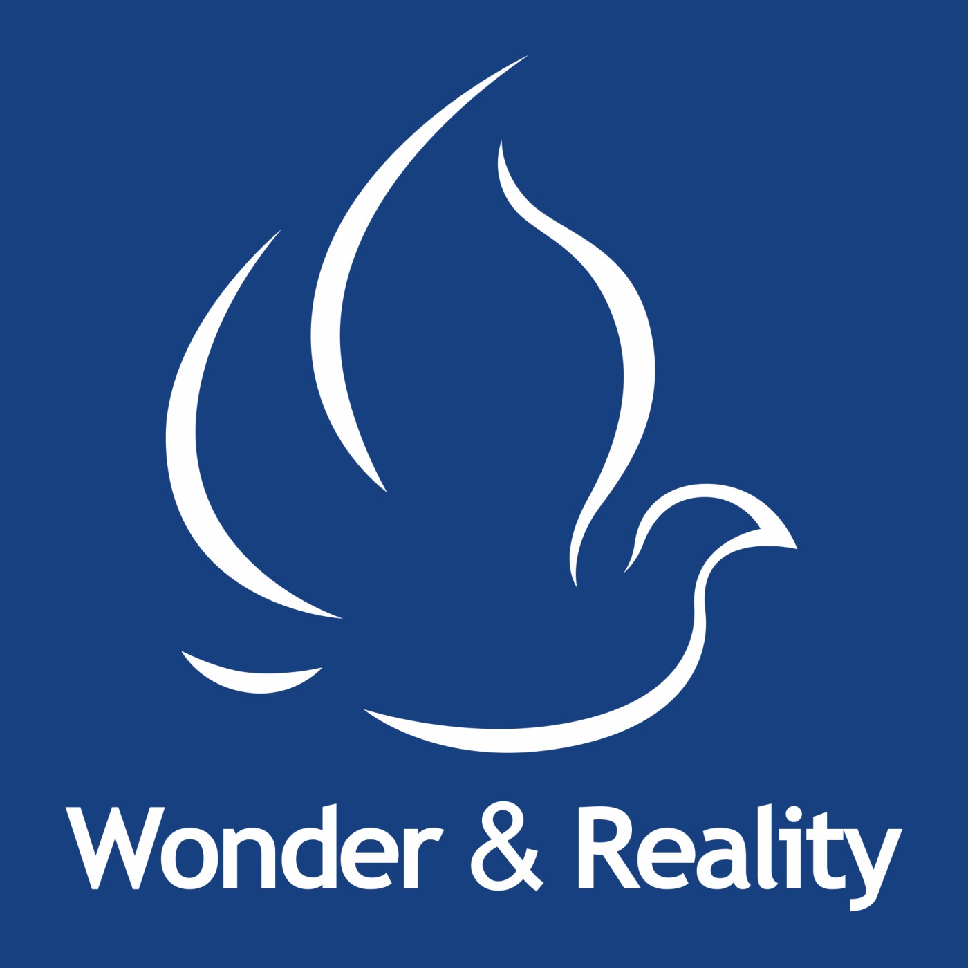 Wonder & Reality